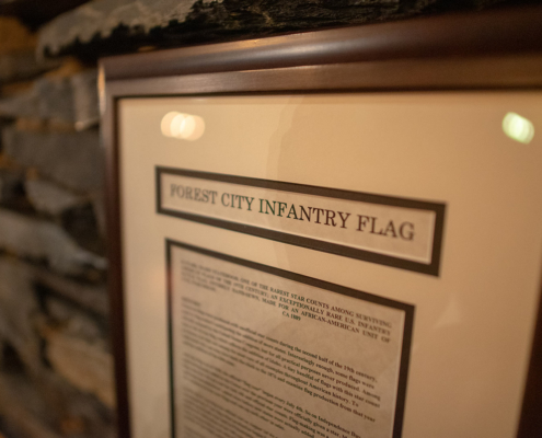 Forest City Light Infantry 1872 Flag Savannah Georgia History